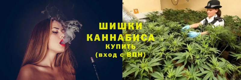 Бошки марихуана Bruce Banner  Старая Русса 